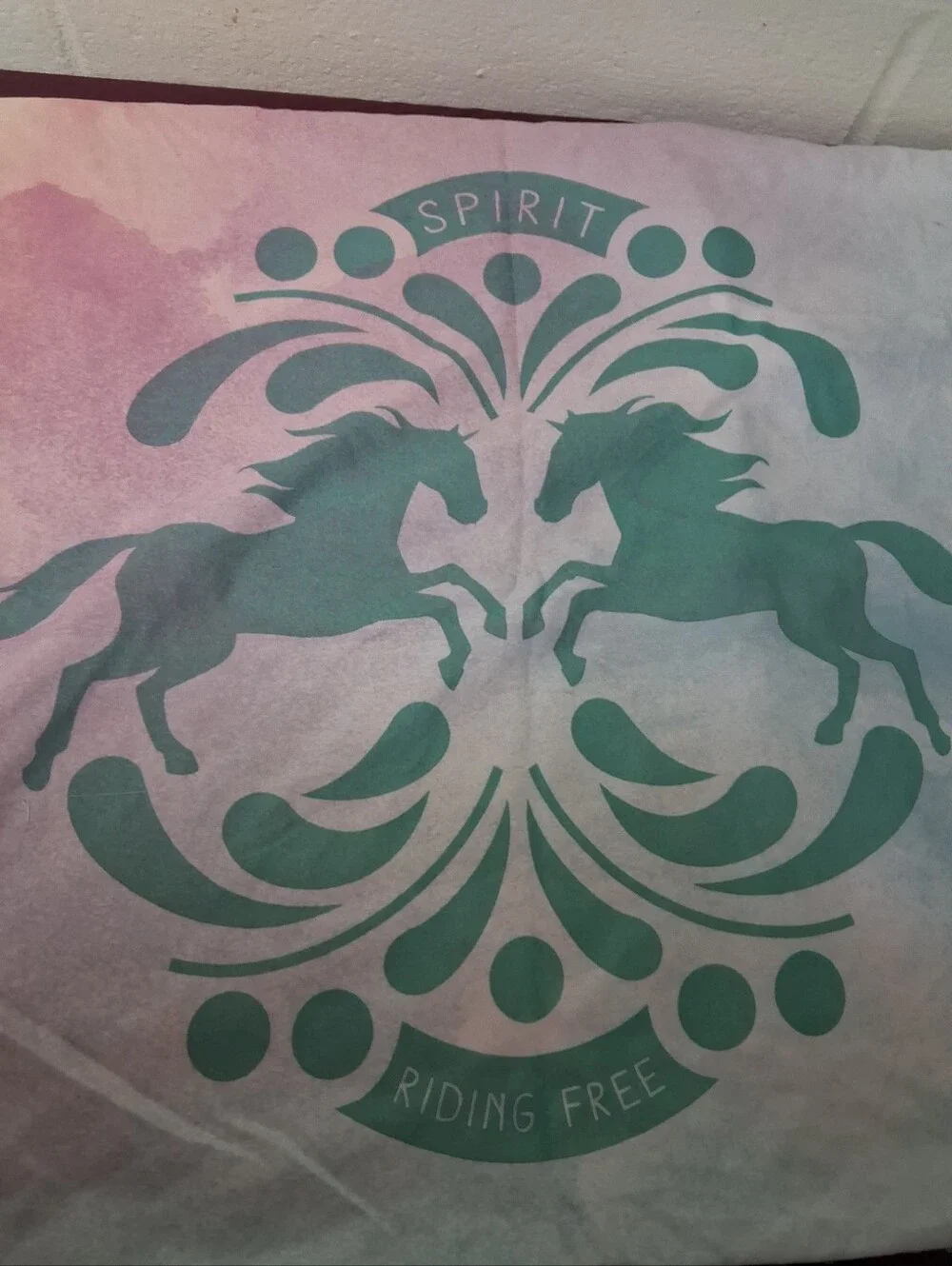 Spirit Standard Size Pillowcase